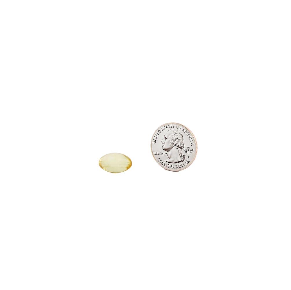 Fish Oil 1200 mg Softgels R68167