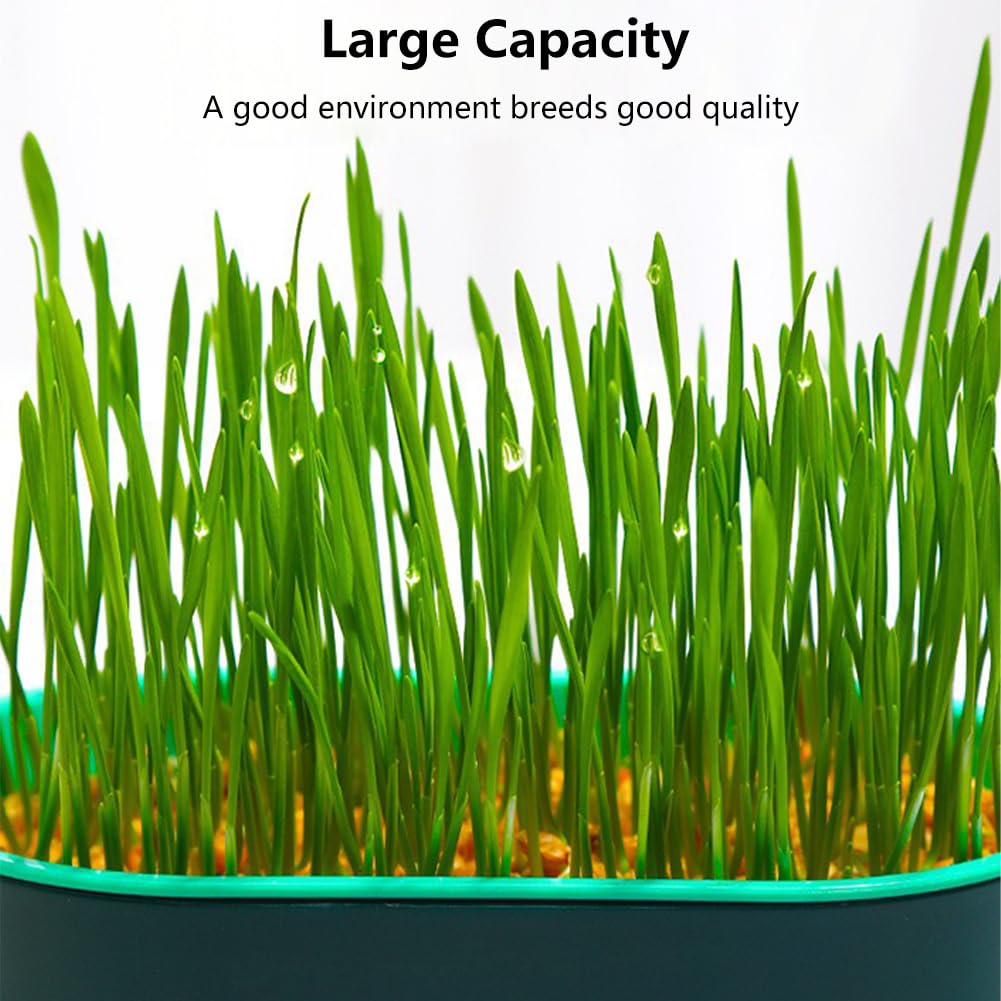 Cat Grass Planter, Hydroponic Trays, Soil-Free Planter (3PCS) V536