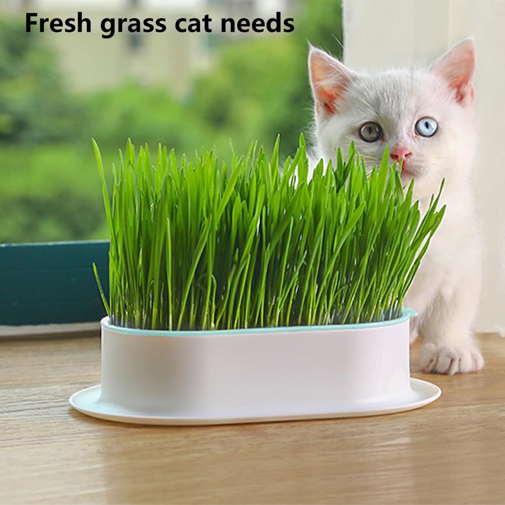 Cat Grass Planter, Hydroponic Trays, Soil-Free Planter (3PCS) V536