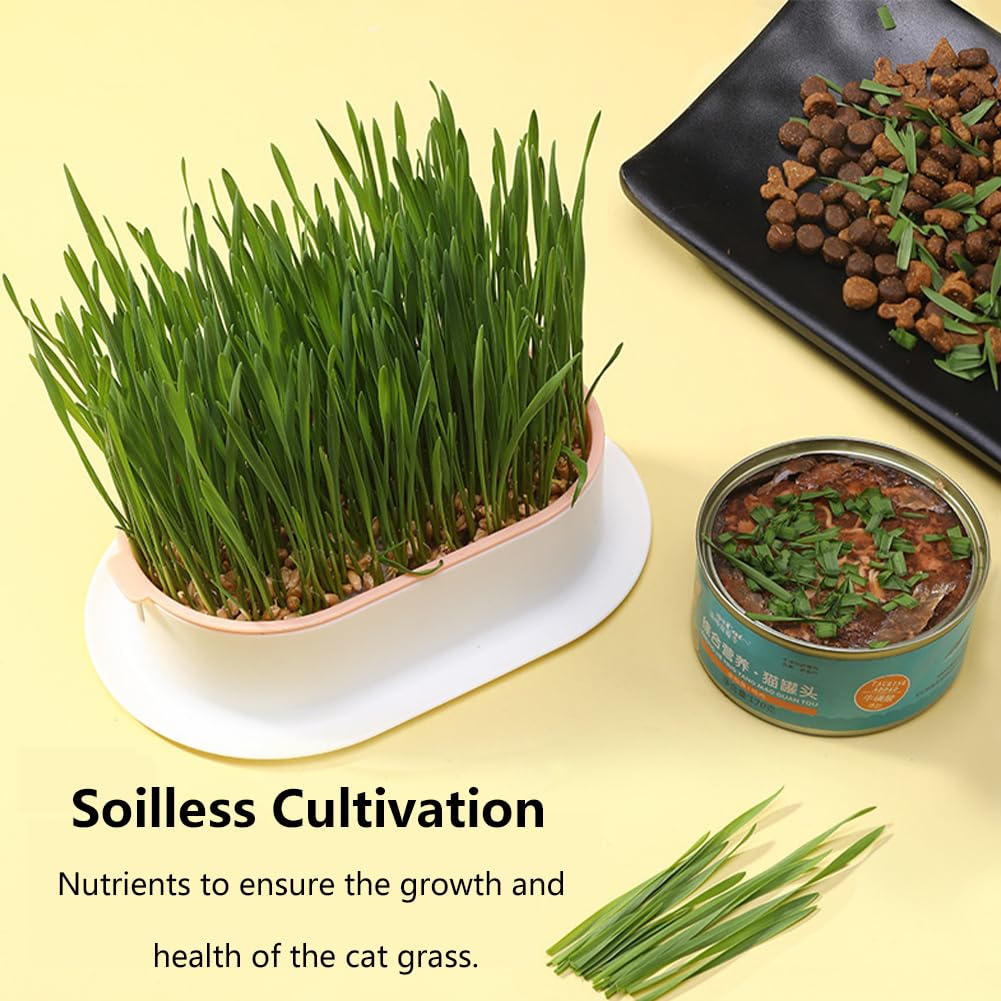 Cat Grass Planter, Hydroponic Trays, Soil-Free Planter (3PCS) V536