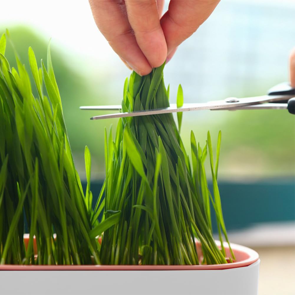 Cat Grass Planter, Hydroponic Trays, Soil-Free Planter (3PCS) V536