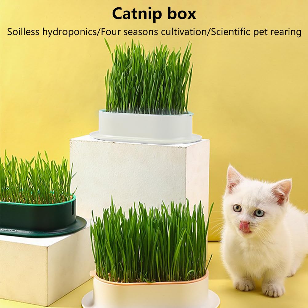 Cat Grass Planter, Hydroponic Trays, Soil-Free Planter (3PCS) V536