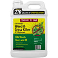 Glyphosate Concentrate Grass & Weed Killer Herbicide, 2.5-Gallon Y2798