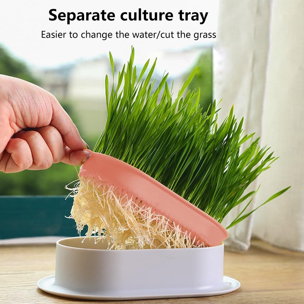 Cat Grass Planter, Hydroponic Trays, Soil-Free Planter (3PCS) V536