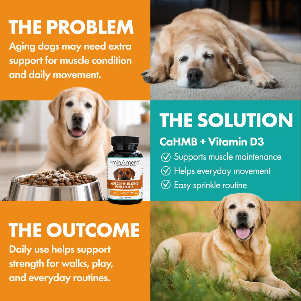 430 mg Muscle Support for Dogs, 30 Ct., 2-Pack V93938