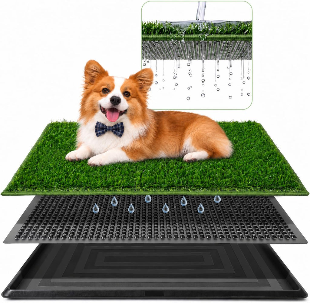 3 Layer Dog Grass Pad with Tray 30" x 20" B469565