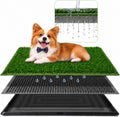 3 Layer Dog Grass Pad with Tray 30" x 20" B469565