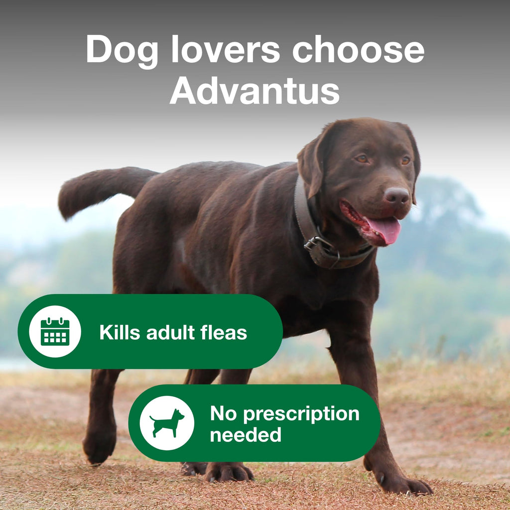 Soft Chew Flea Treatment for Dogs 23-110 lbs. 7 ct M8239