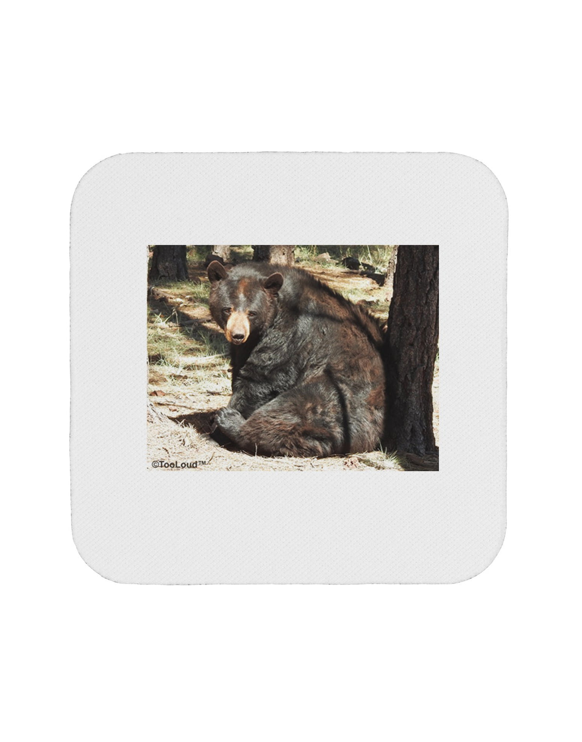 Black Bear 4 Piece Set of Coasters A149277