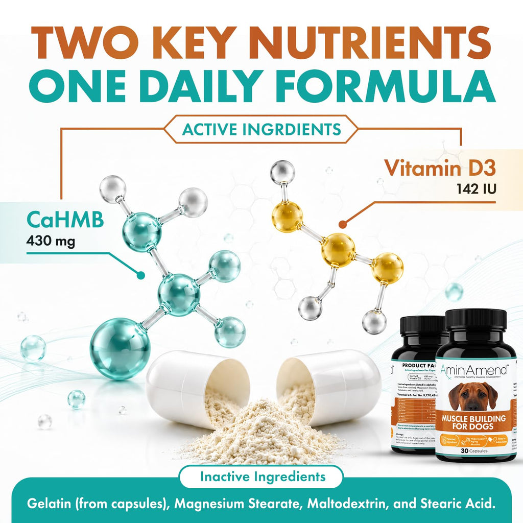 430 mg Muscle Support for Dogs, 30 Ct., 2-Pack V93938