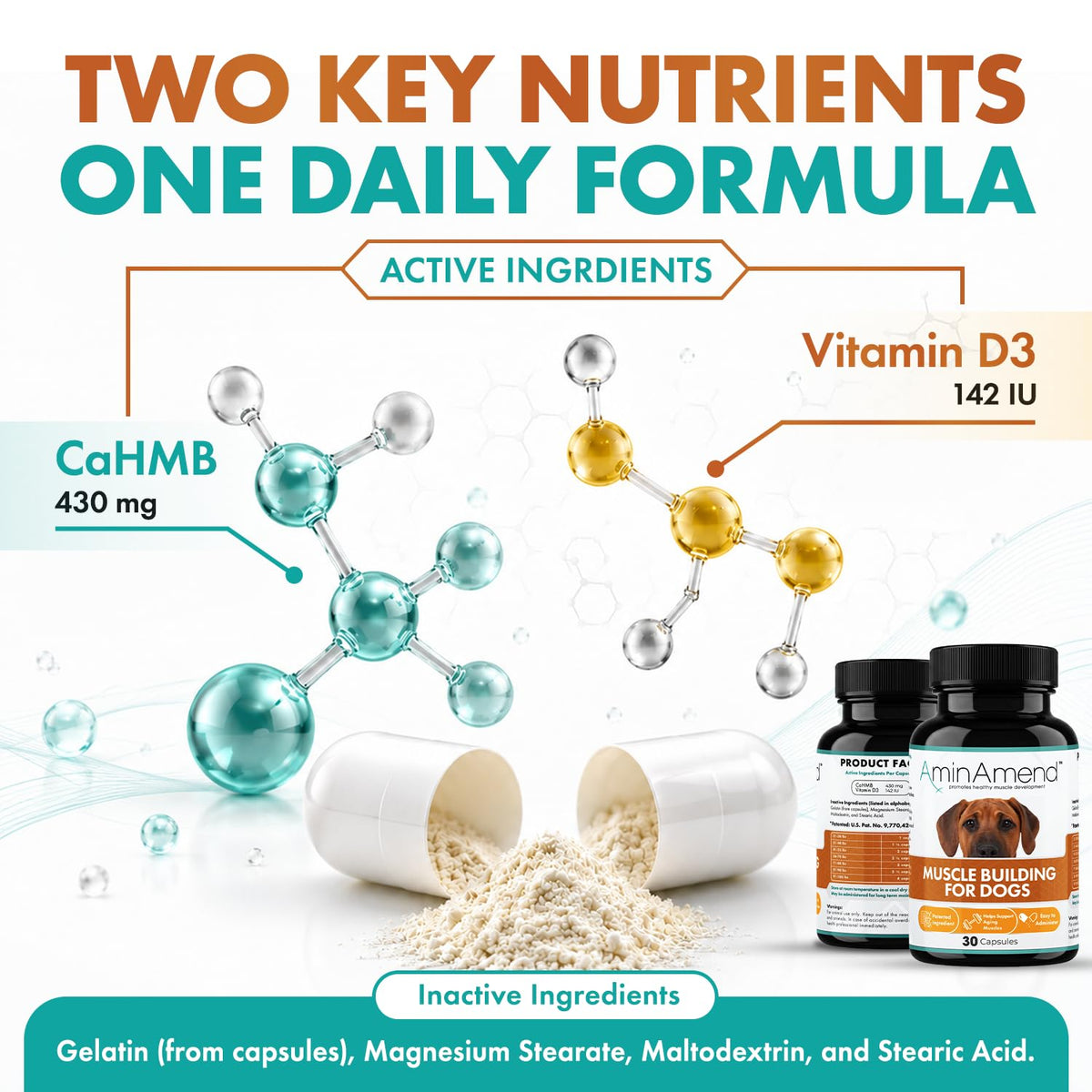 430 mg Muscle Support for Dogs, 30 Ct., 2-Pack V93938