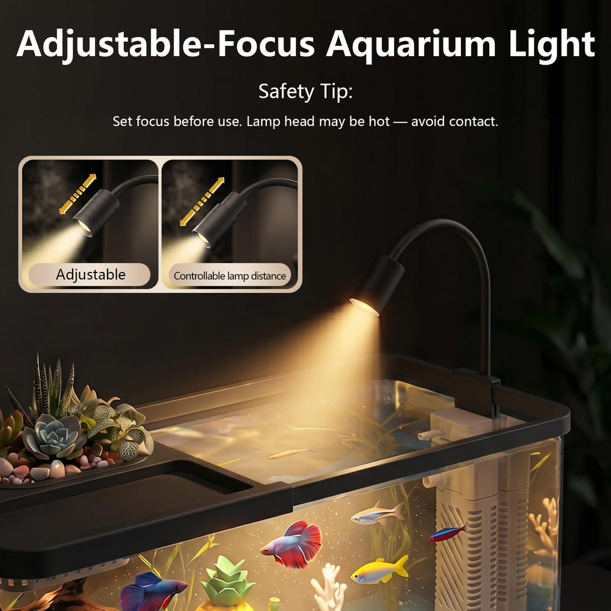 5 Gallon Aquarium Starter Kit with Filter and Light U2829