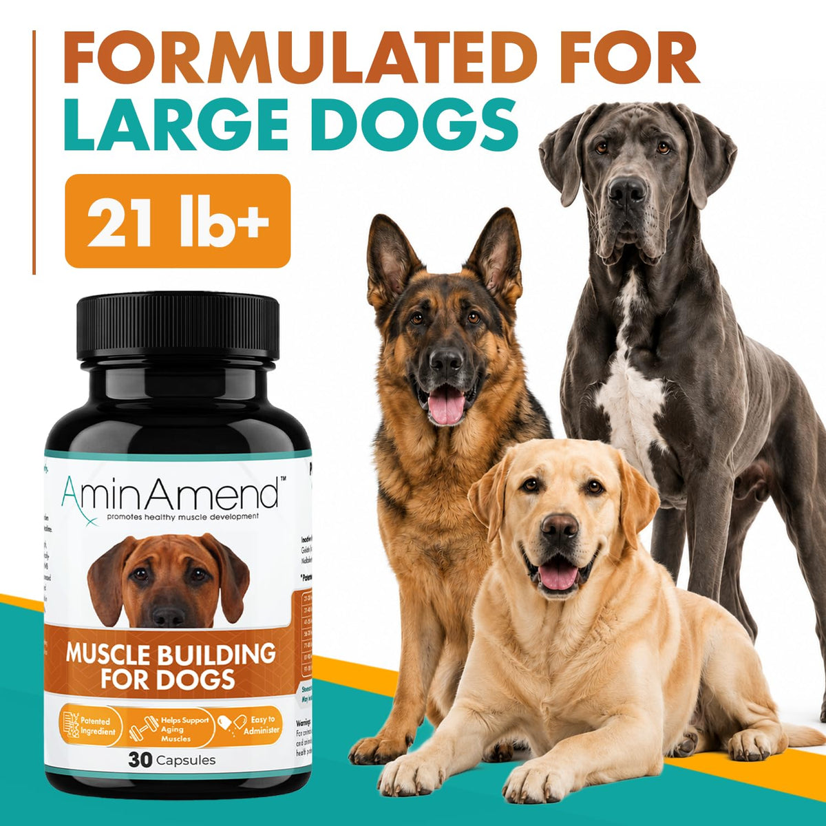 430 mg Muscle Support for Dogs, 30 Ct., 2-Pack V93938