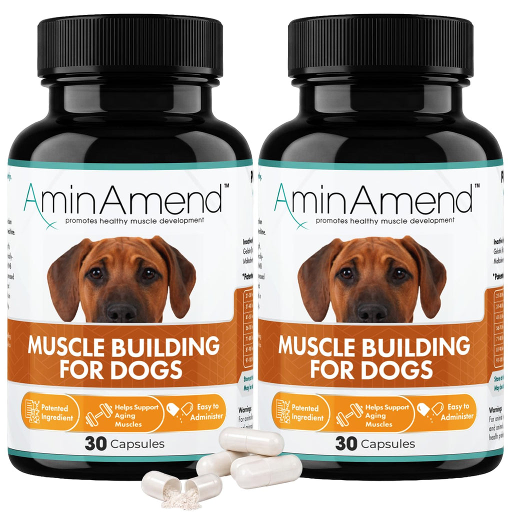 430 mg Muscle Support for Dogs, 30 Ct., 2-Pack V93938