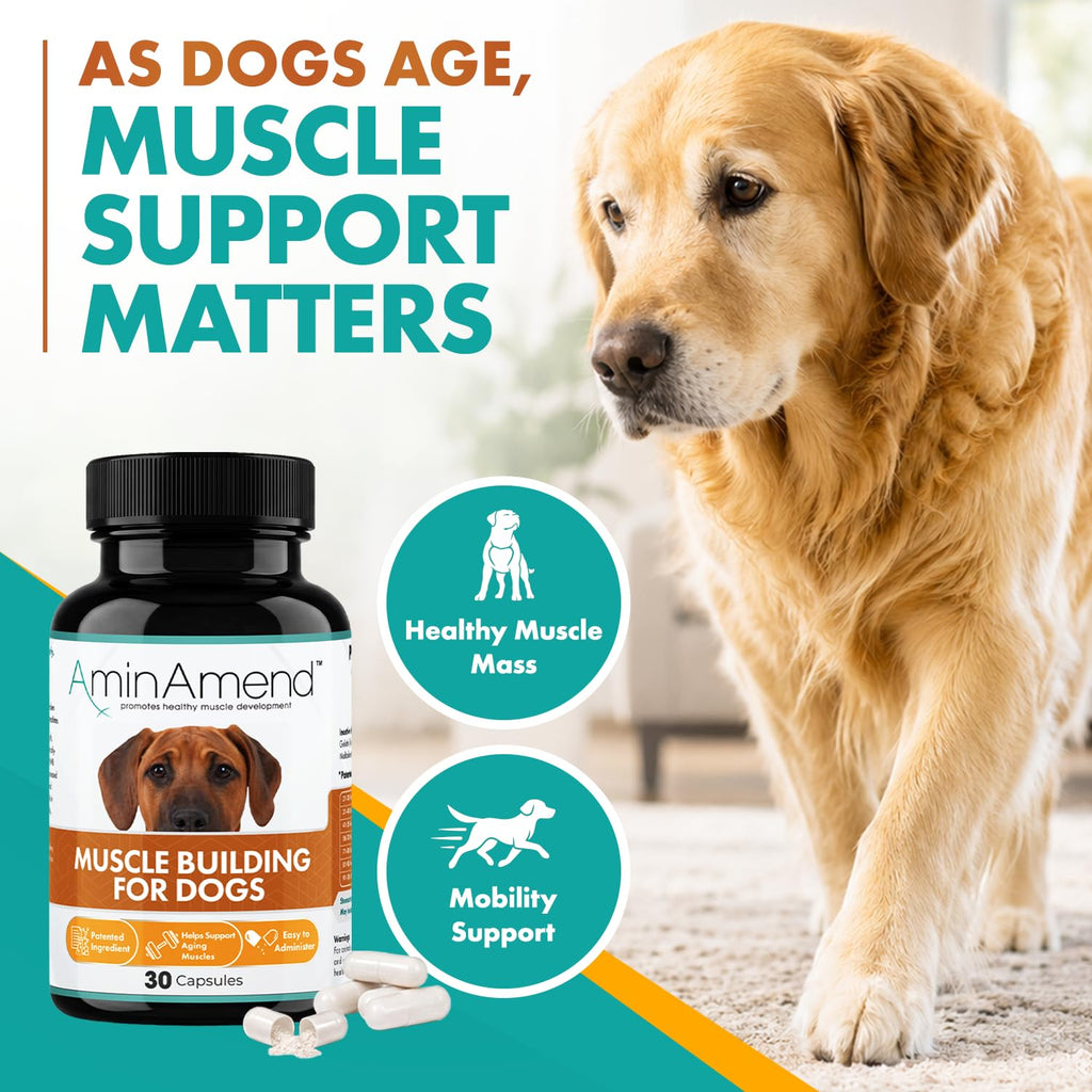 430 mg Muscle Support for Dogs, 30 Ct., 2-Pack V93938