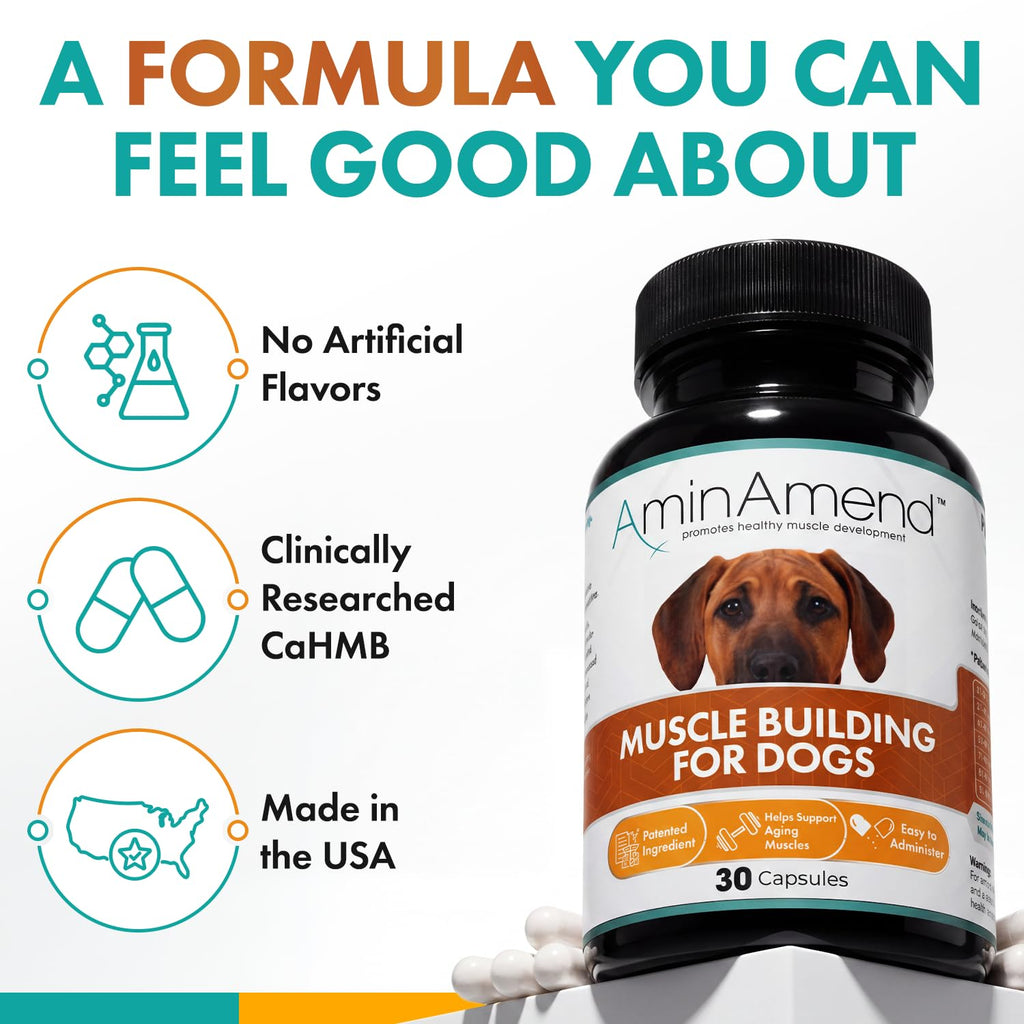 430 mg Muscle Support for Dogs, 30 Ct., 2-Pack V93938