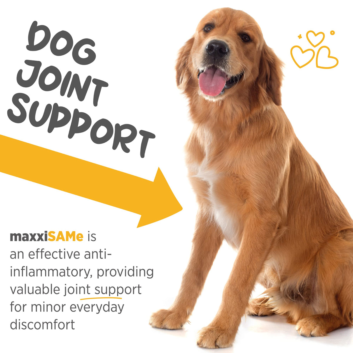 SAM-e for Dogs Liver & Cognitive Support Powder 5.3 oz C6178
