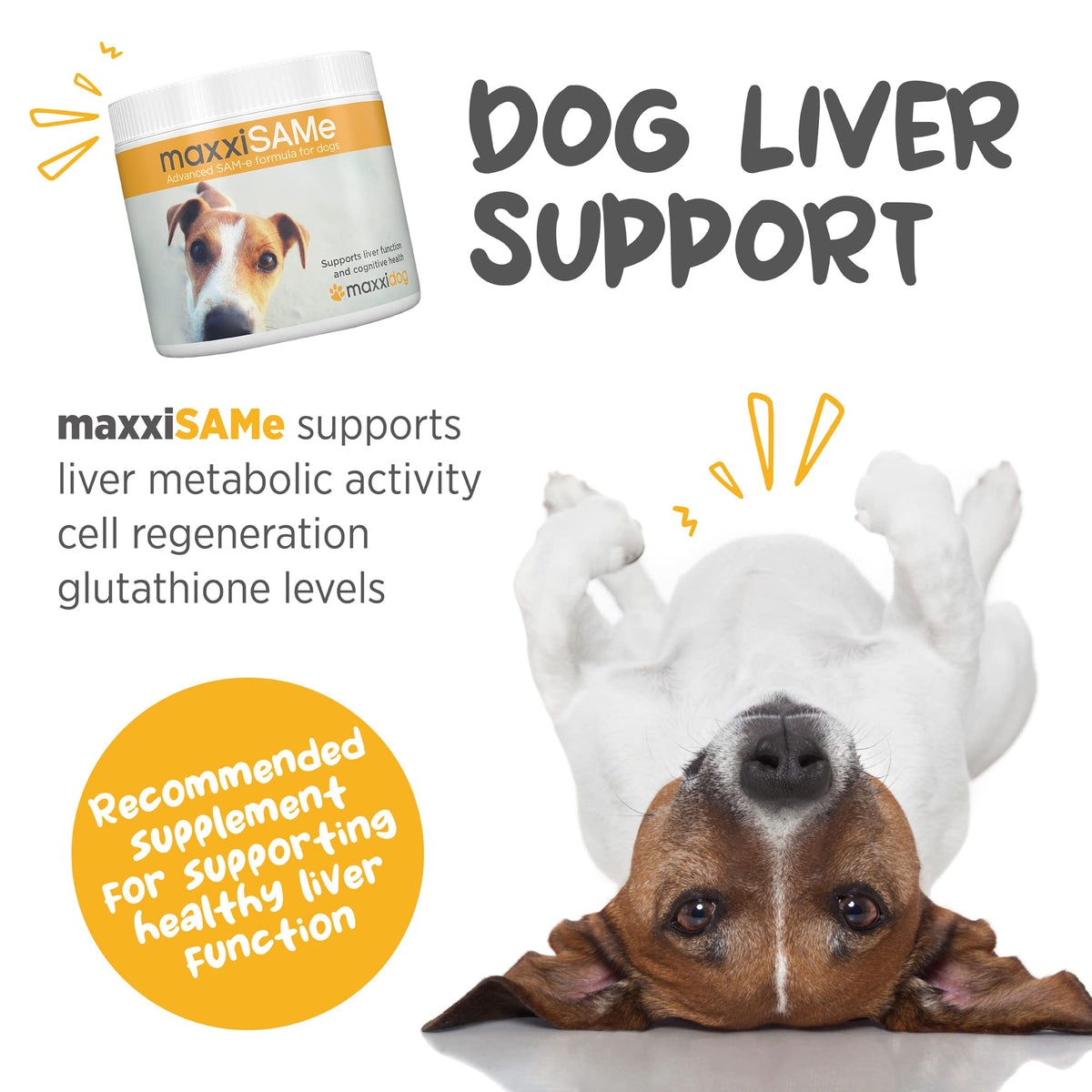 SAM-e for Dogs Liver & Cognitive Support Powder 5.3 oz C6178