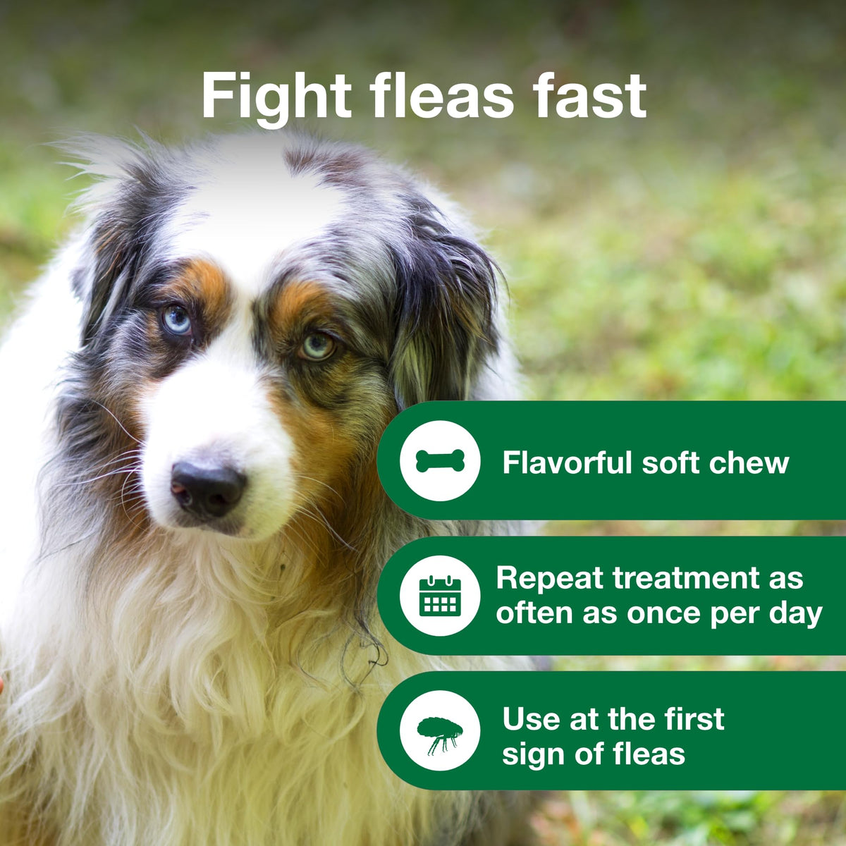 Soft Chew Flea Treatment for Dogs 23-110 lbs. 7 ct M8239