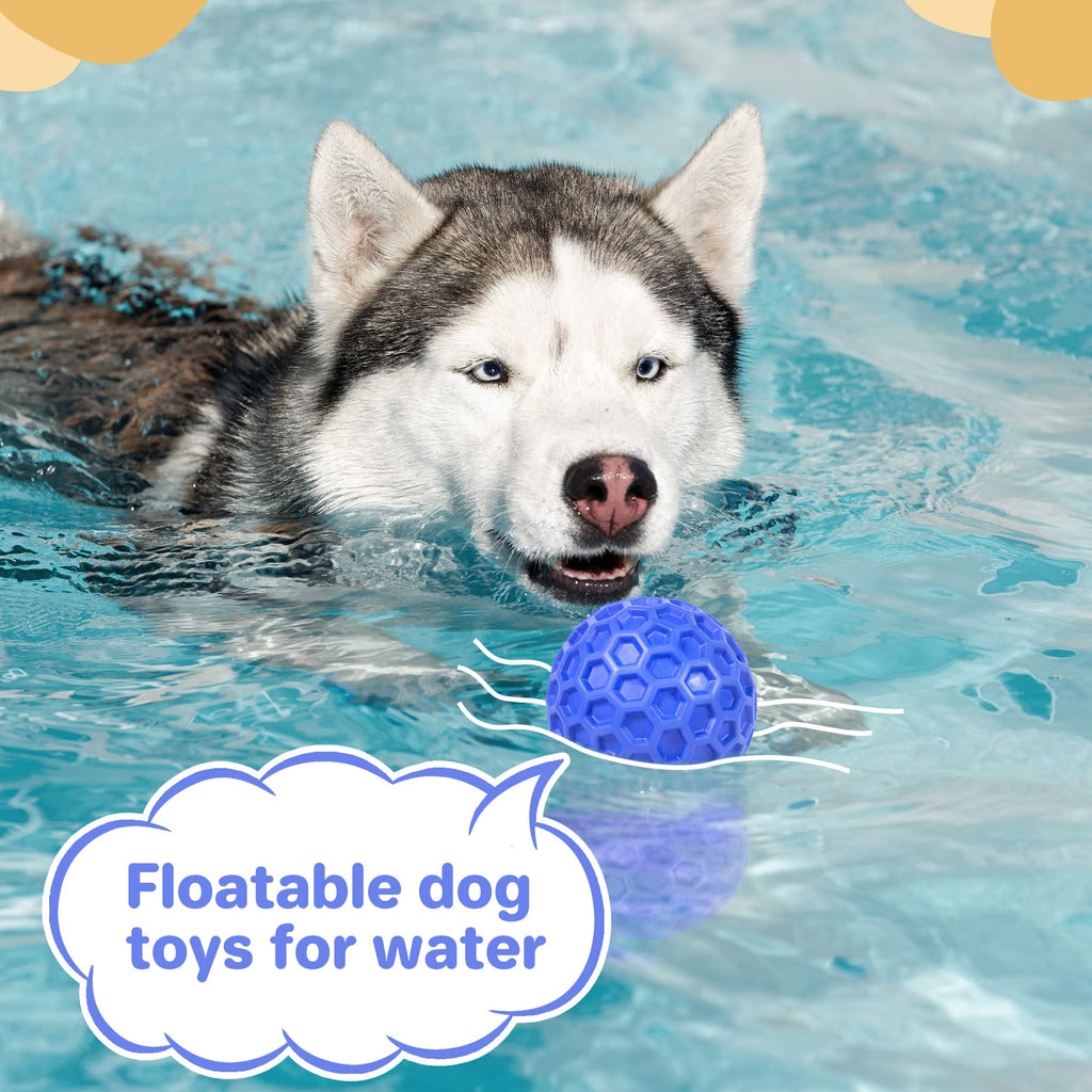 Squeaky Dog Ball Chew Toy T18605