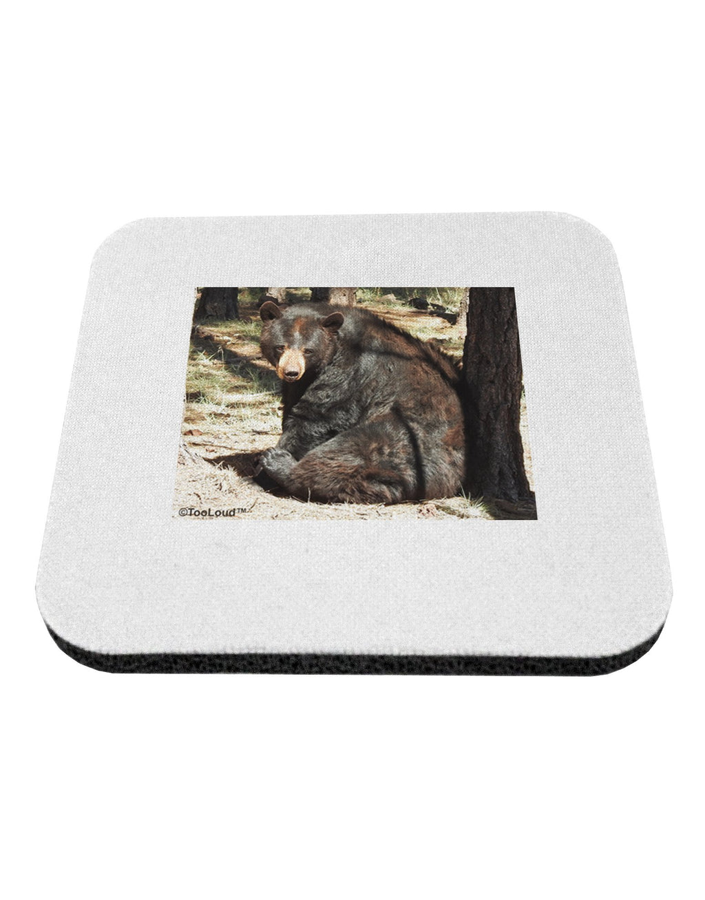 Black Bear 4 Piece Set of Coasters A149277