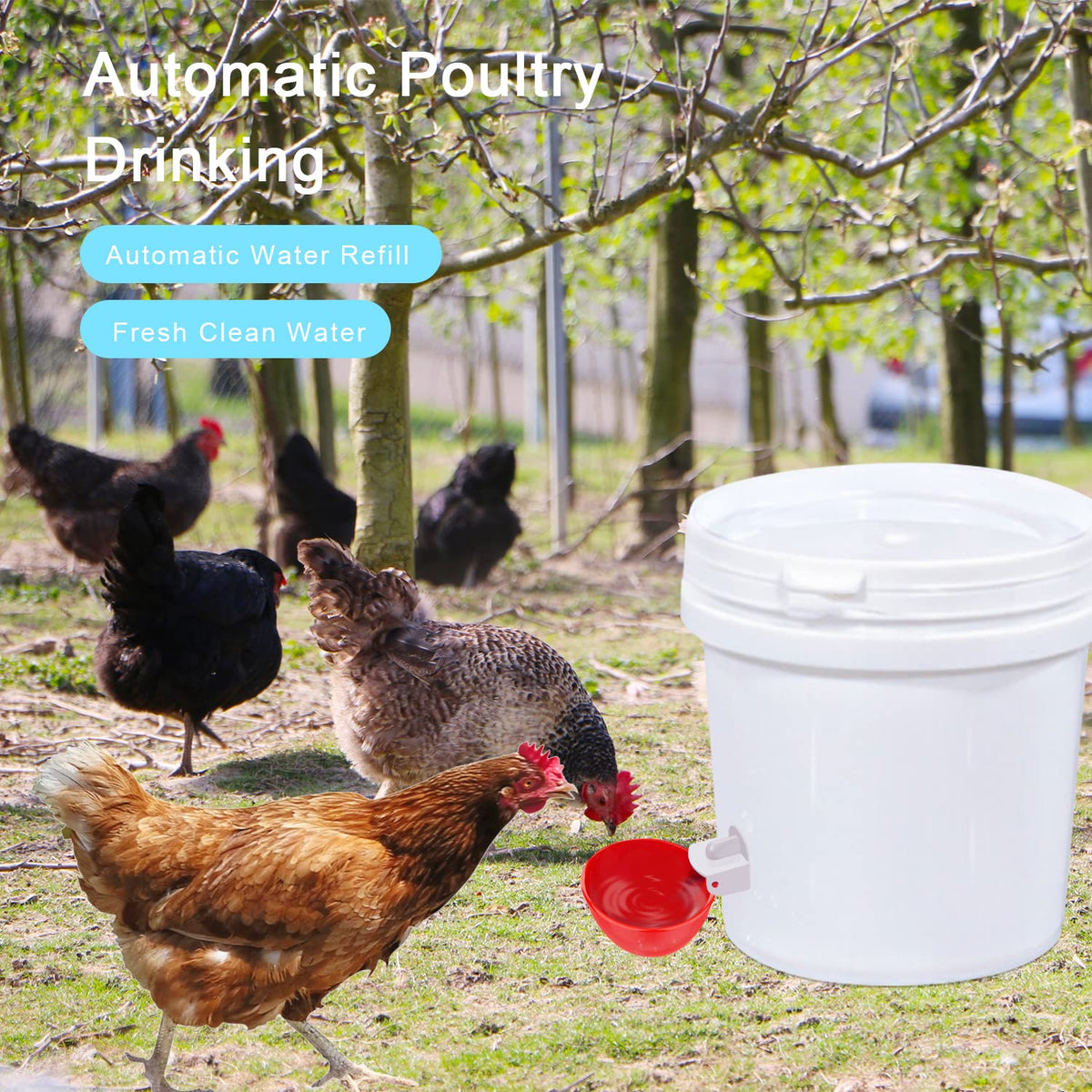 8 Packs Chicken Waterer Cups with Mounting Hole Opener S1673