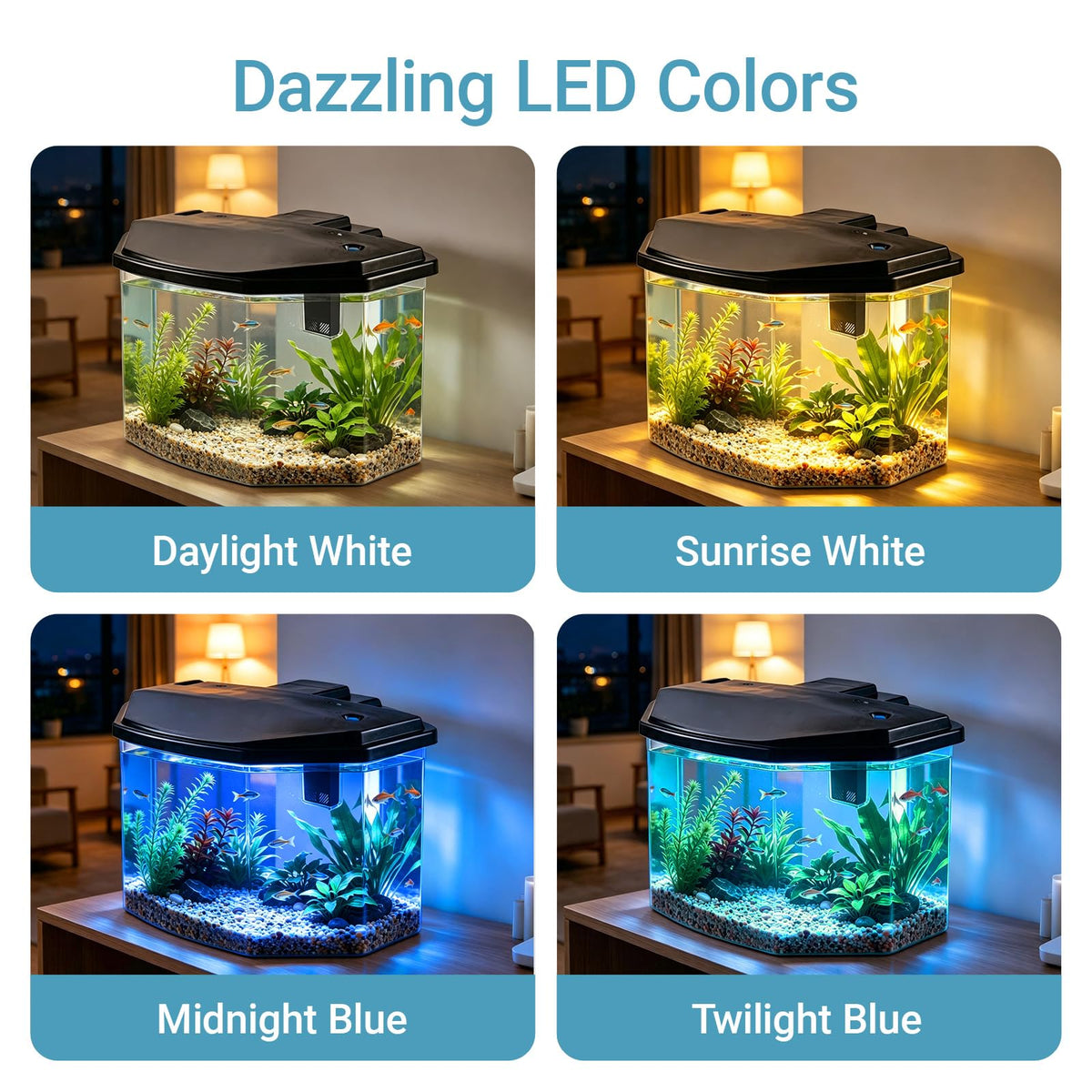 3-Gallon Plastic Aquarium Starter Kit with LED Lighting and Filtration U12737