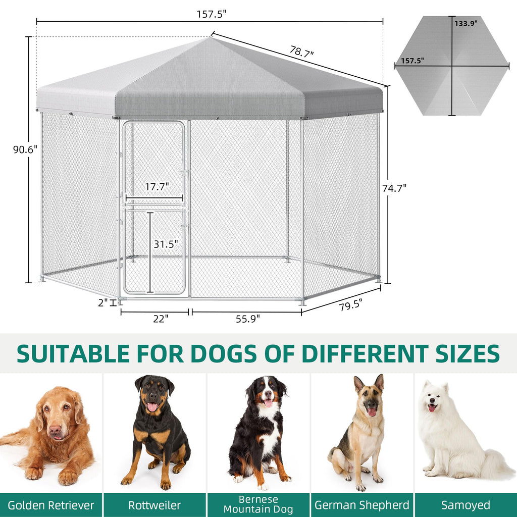 Extra Large Outdoor Dog Kennel X22886