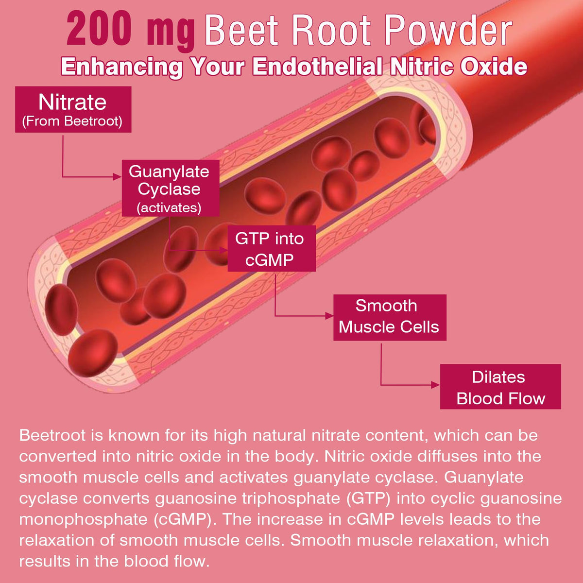 Beet Root Gummies with Iron E602665
