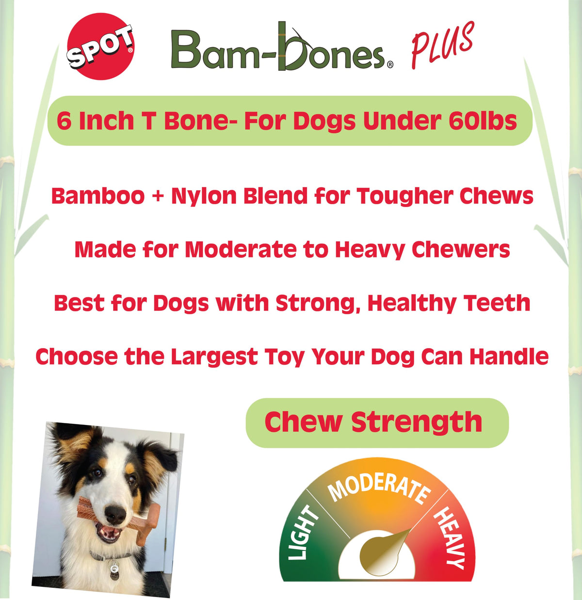 Beef Dog Chew D943557