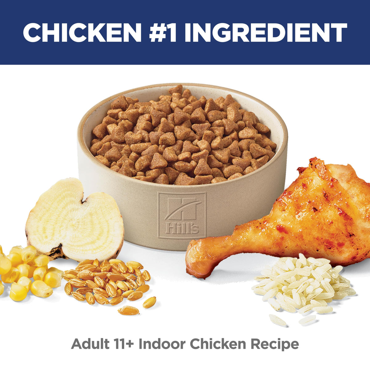 Indoor Dry Cat Food G553755