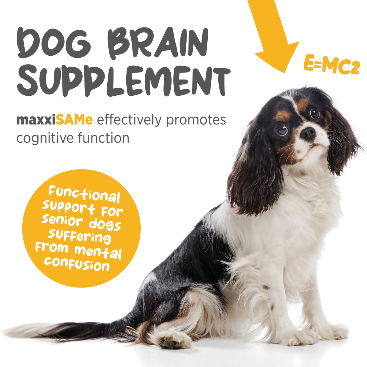 SAM-e for Dogs Liver & Cognitive Support Powder 5.3 oz C6178