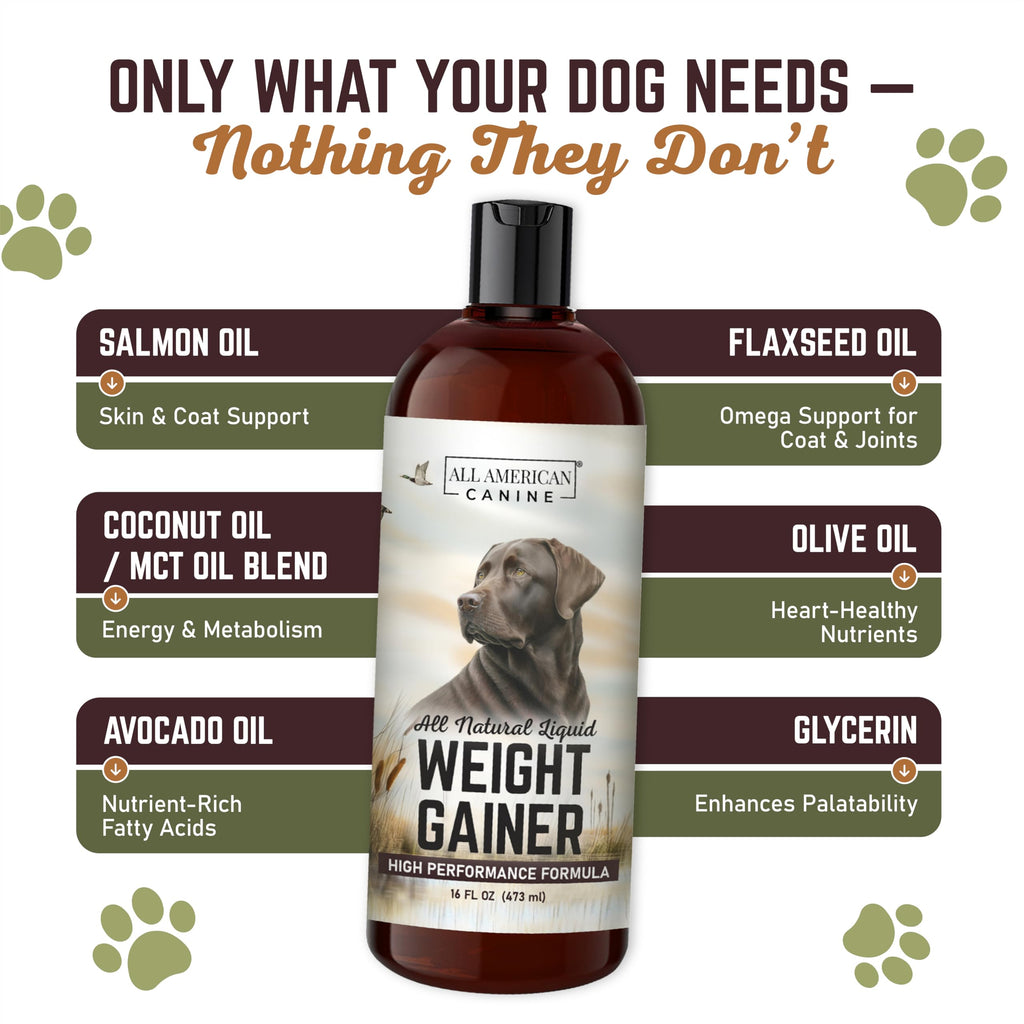 High Calorie Dog Weight Gainer Liquid 16 oz R670815