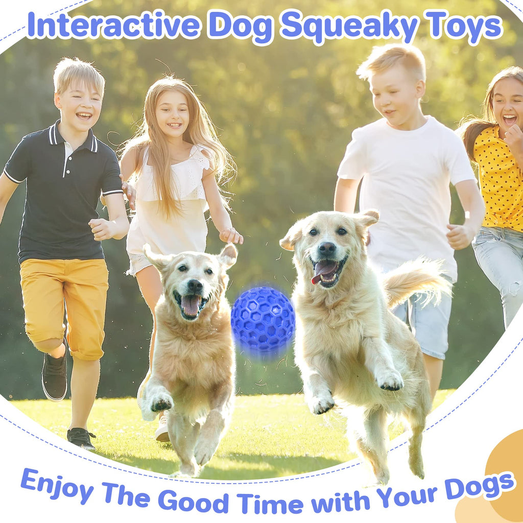 Squeaky Dog Ball Chew Toy T18605