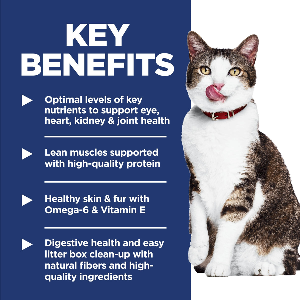 Indoor Dry Cat Food G553755
