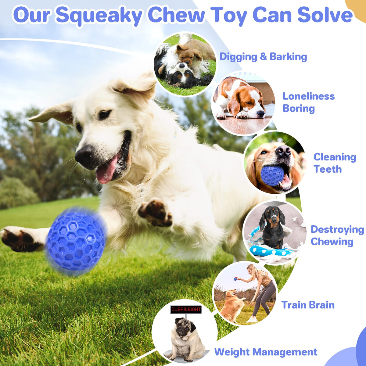 Squeaky Dog Ball Chew Toy T18605
