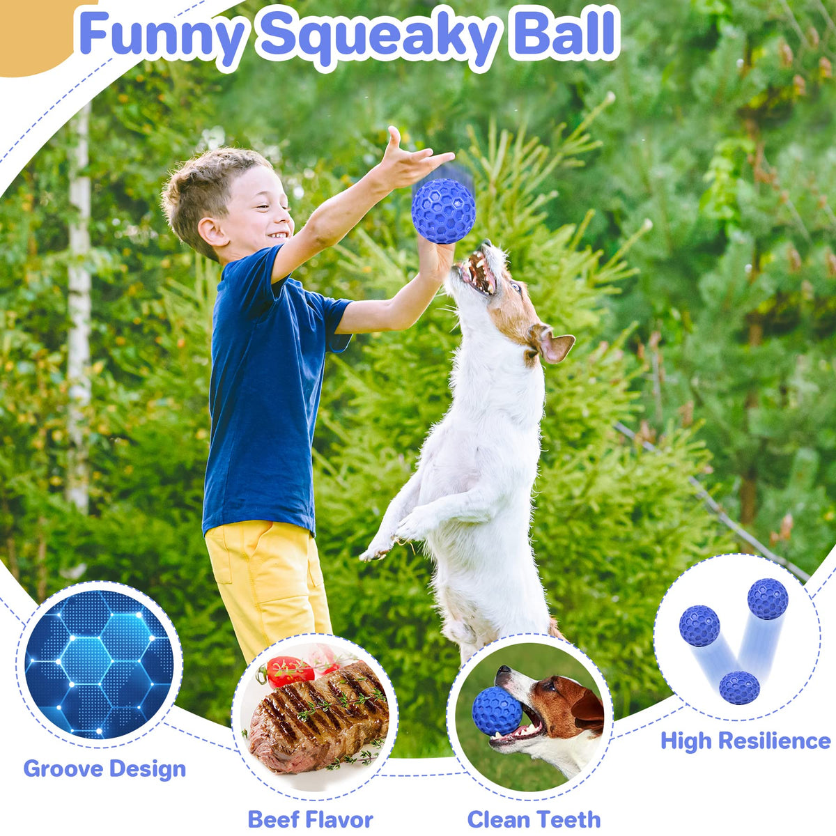 Squeaky Dog Ball Chew Toy T18605