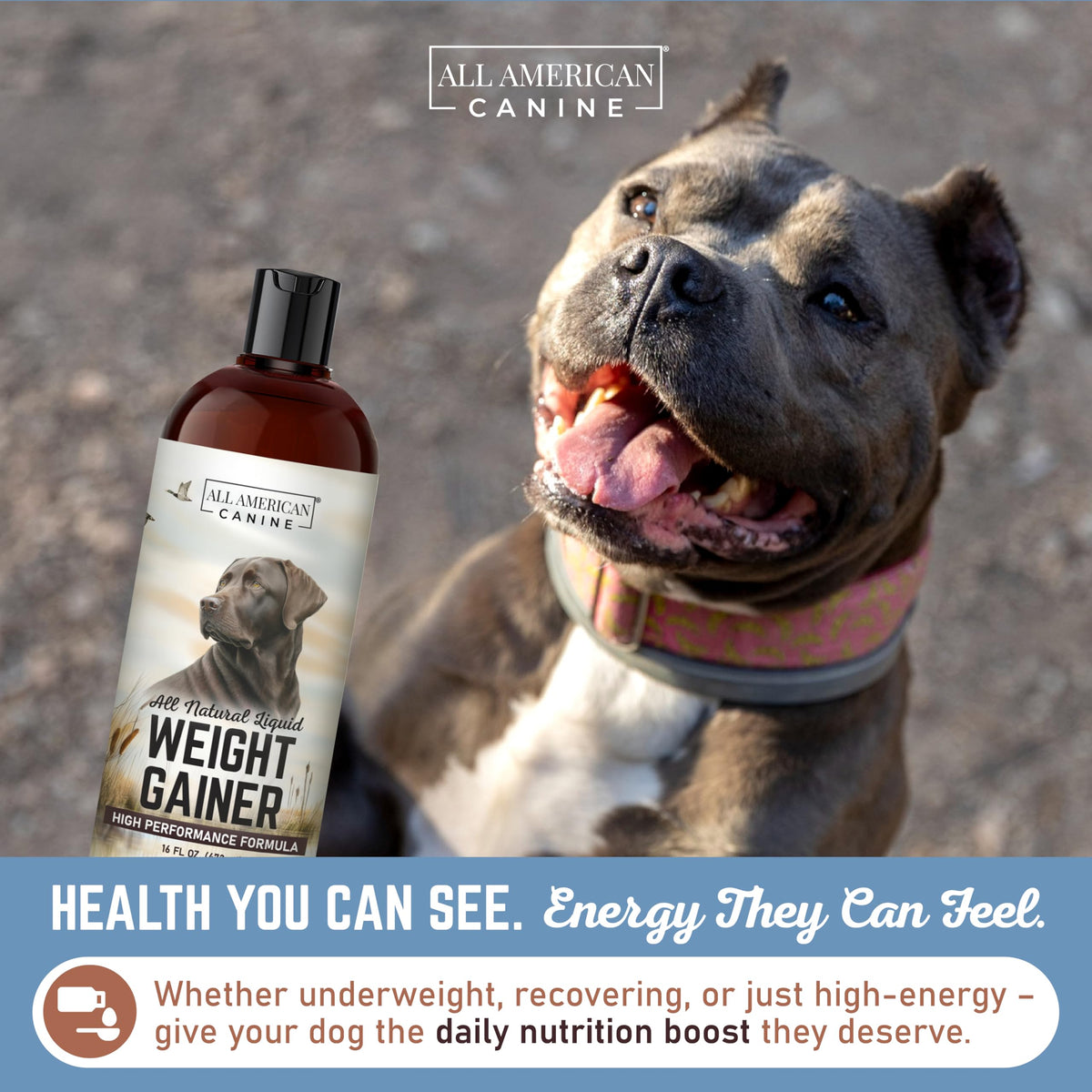 High Calorie Dog Weight Gainer Liquid 16 oz R670815