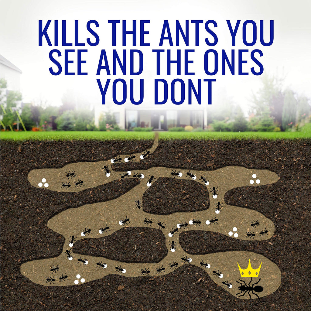 1 oz Liquid Ant Killer V3747