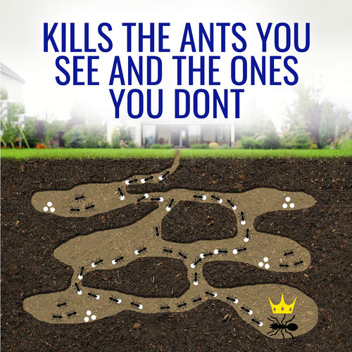 1 oz Liquid Ant Killer V3747